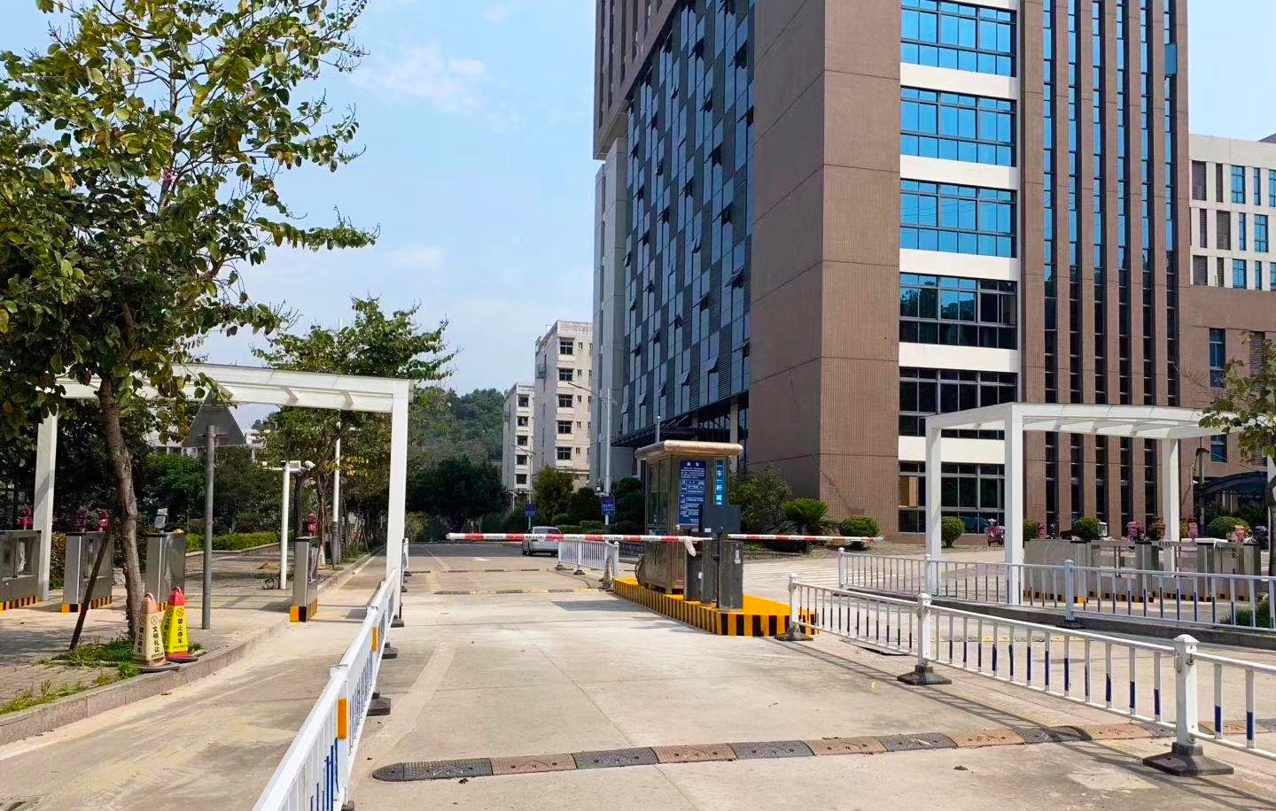 福建农林大学.jpg