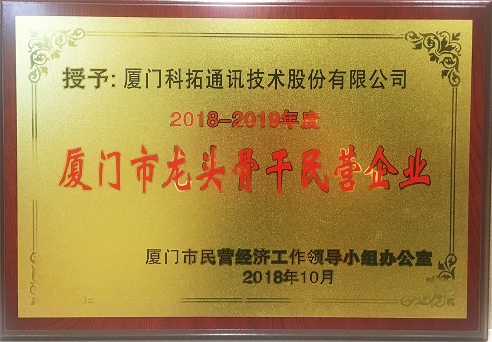 2018-2019年度（dù） 廈門市龍頭骨幹民營企（qǐ）業