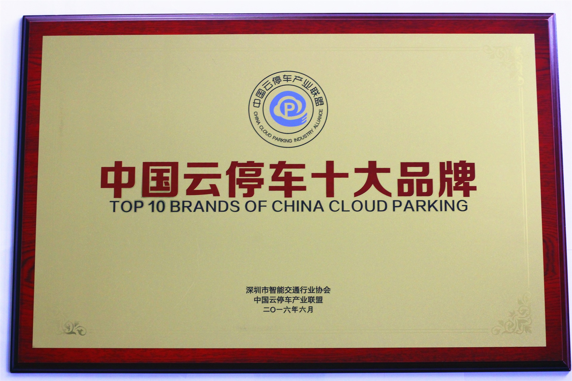 中国云（yún）停车十大品牌