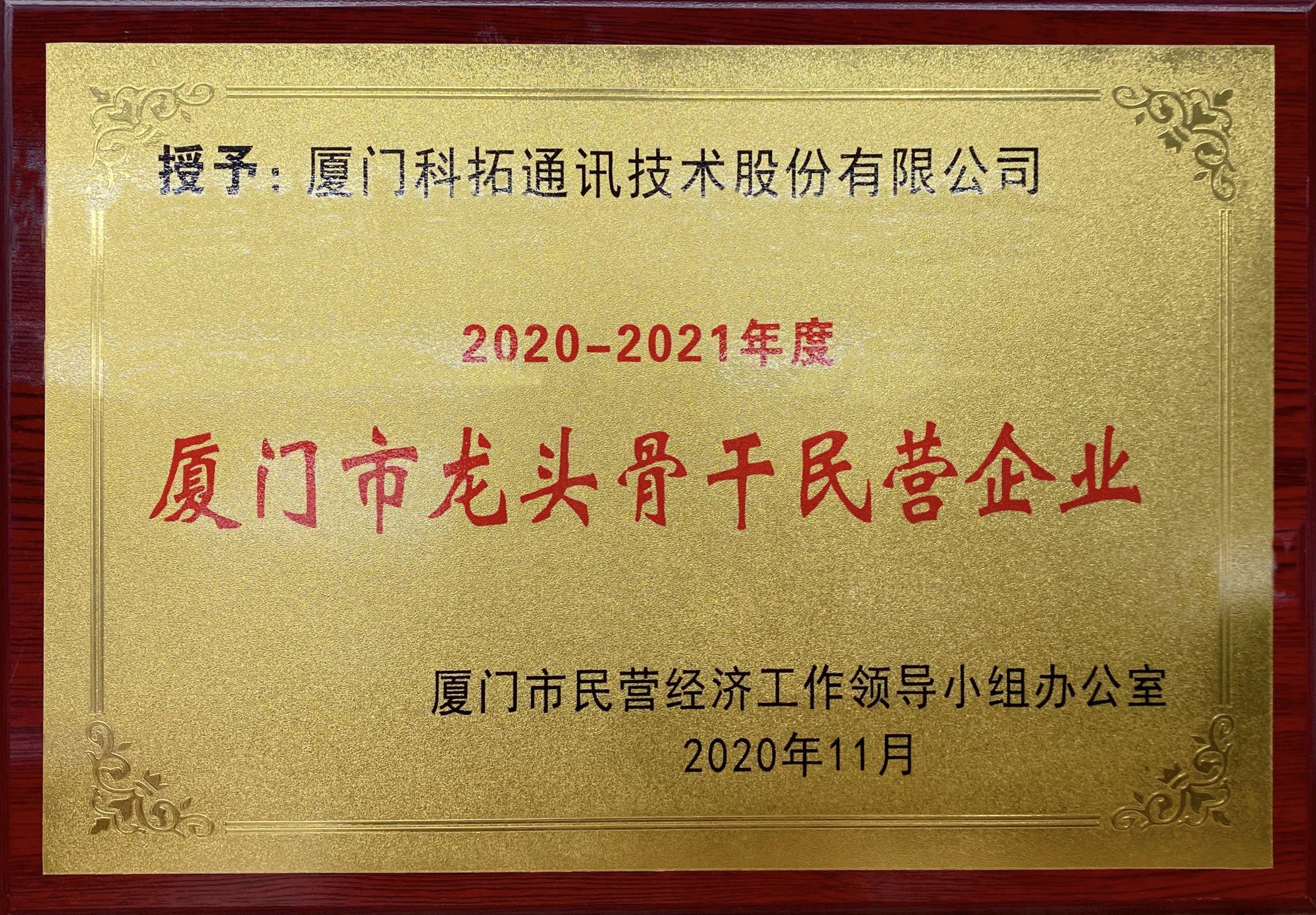2020-2021年度厦门市龙头骨干（gàn）民营企业